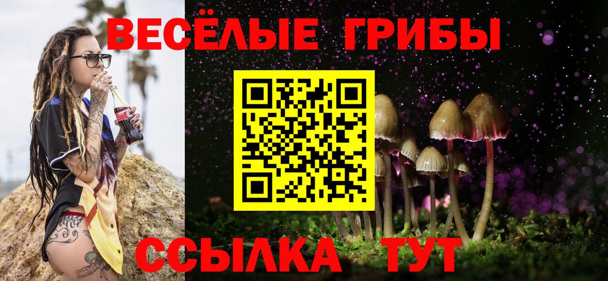 Арсеньев  Псилоцибиновые грибы ЛСД  Вход с VPN 