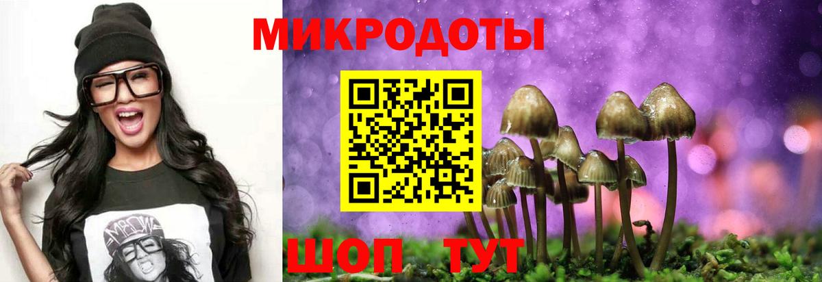 Псилоцибиновые грибы Psilocybe Арсеньев